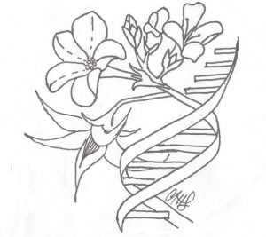Labratory Logo. Designed by Amelia Lovelace