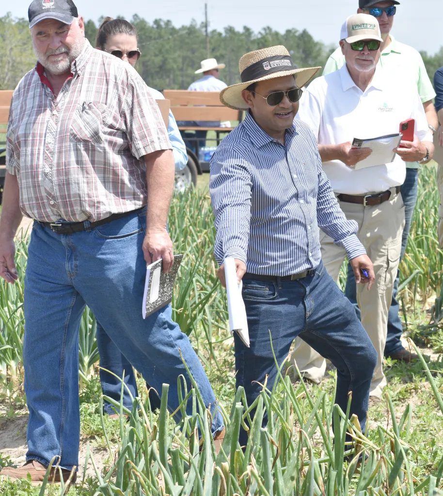UGA Onion Field Day 2023