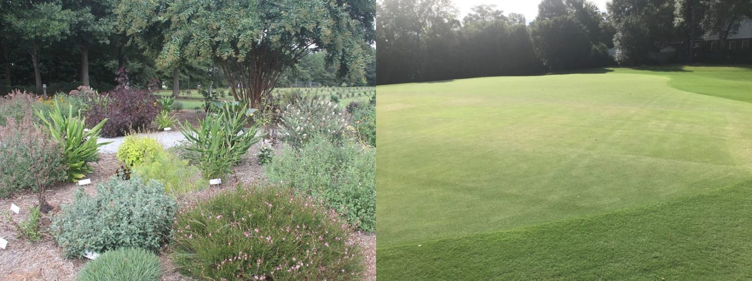 Turf and Ornamental Pest Management