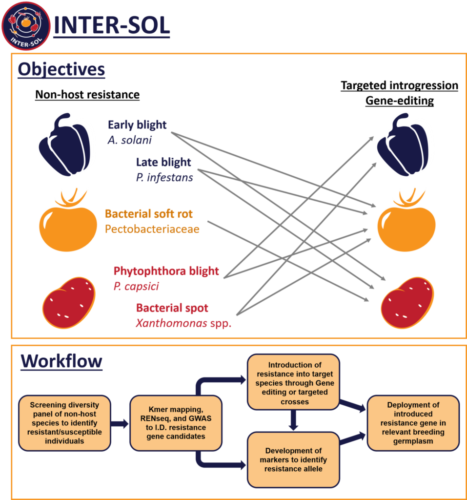 Project Objective overview and general workflow