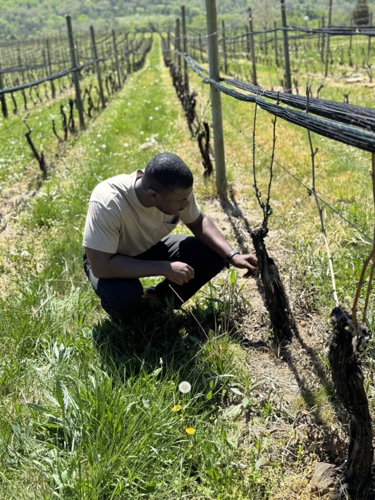 Dennis examining egg masses.