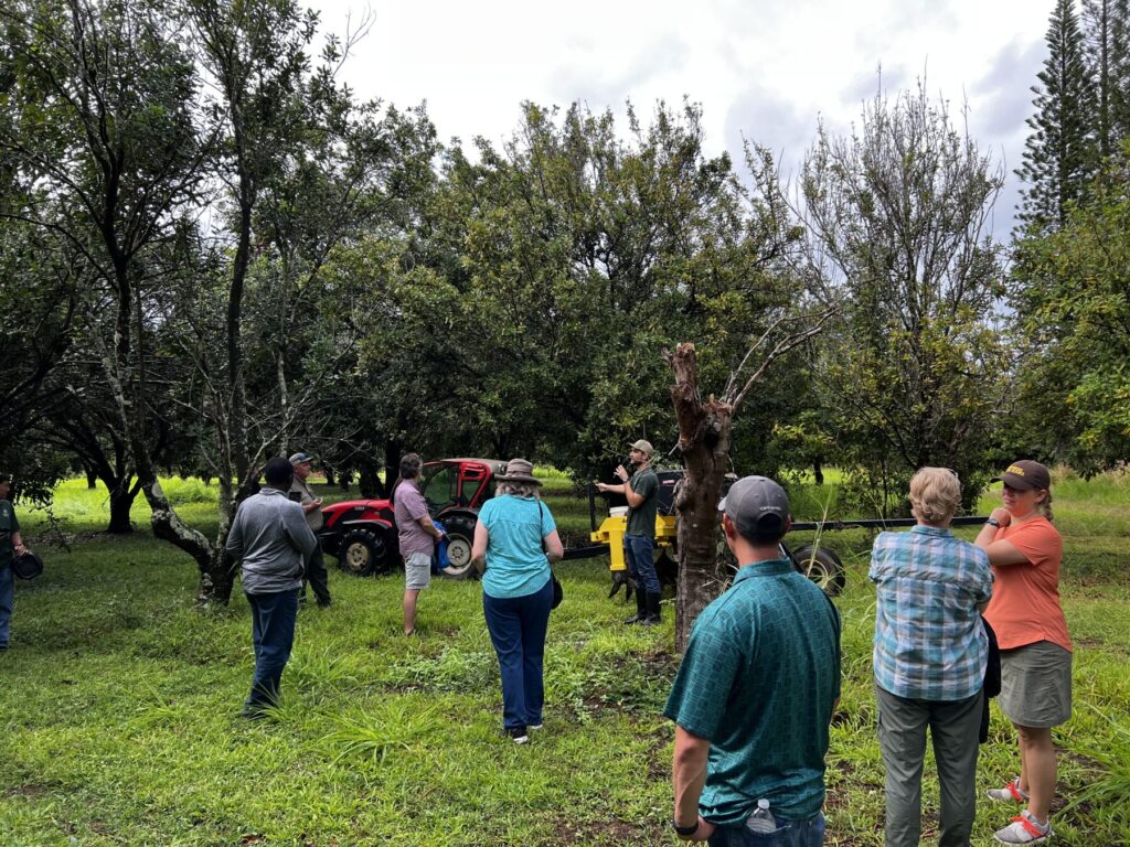 Farmers sharing indigenous knowledge surrounding macadamia production on the Big Island of Hawaii.