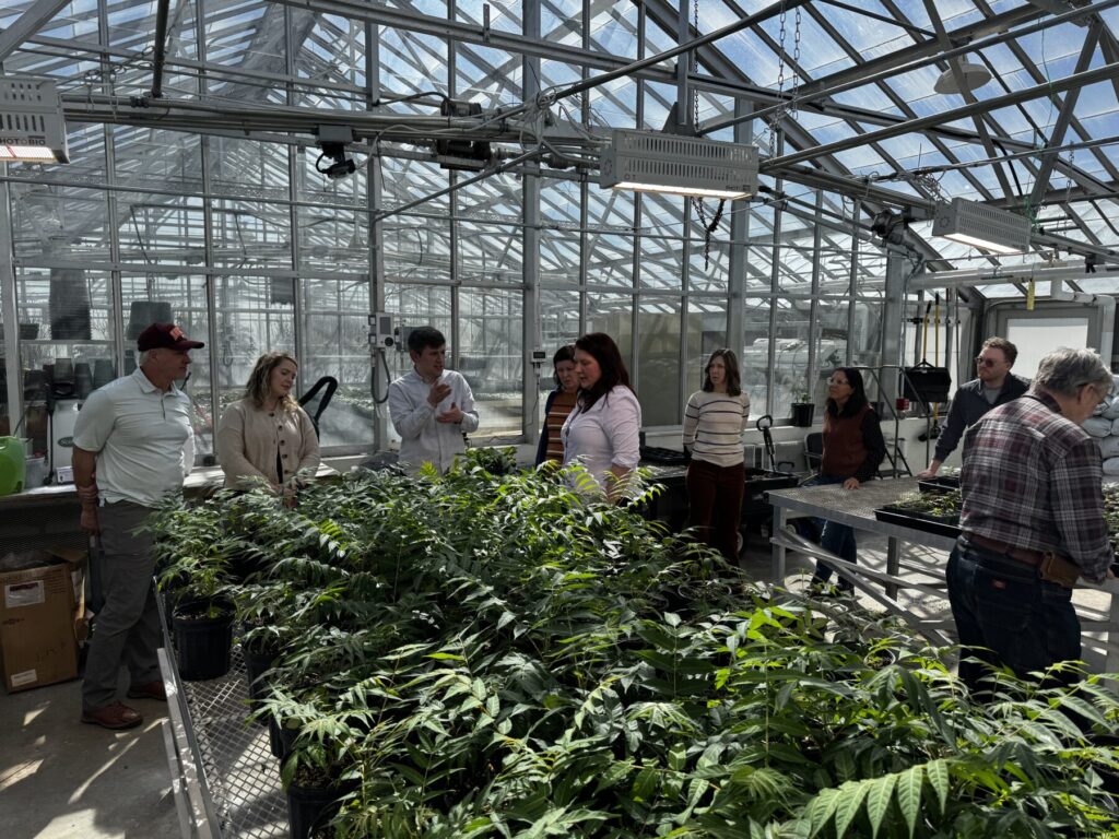 Scientists sharing invasive species management experiments using hands on opportunities in the greenhouse.
