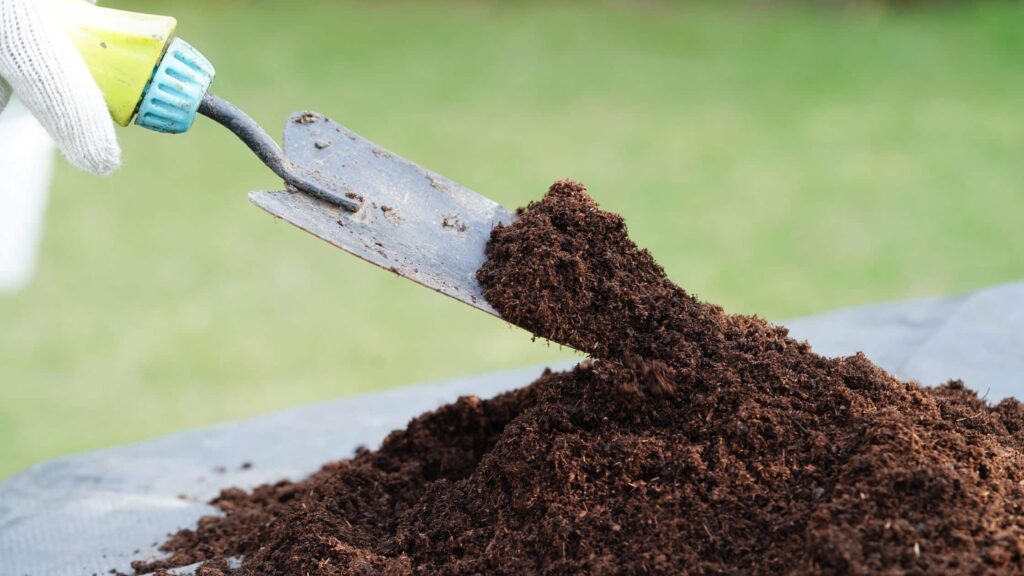 A garden fork in a pile of peat