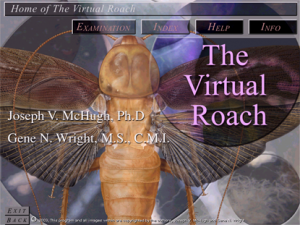 Virtual roach