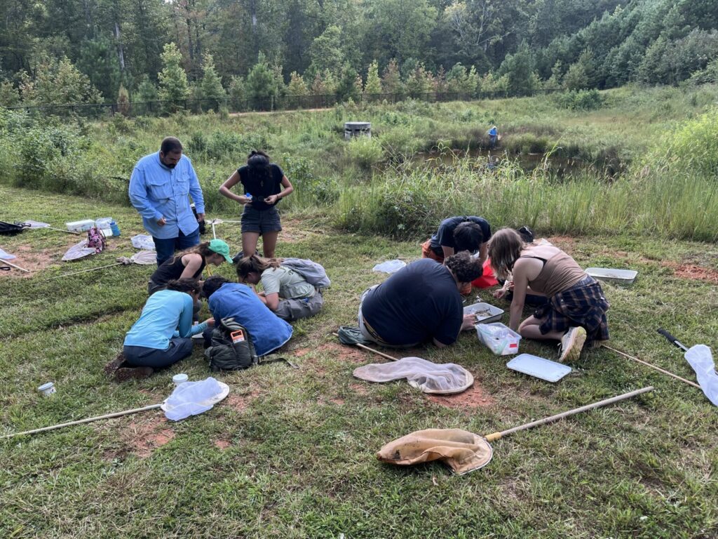 Insect Taxonomy field trip to East Clarke Park 