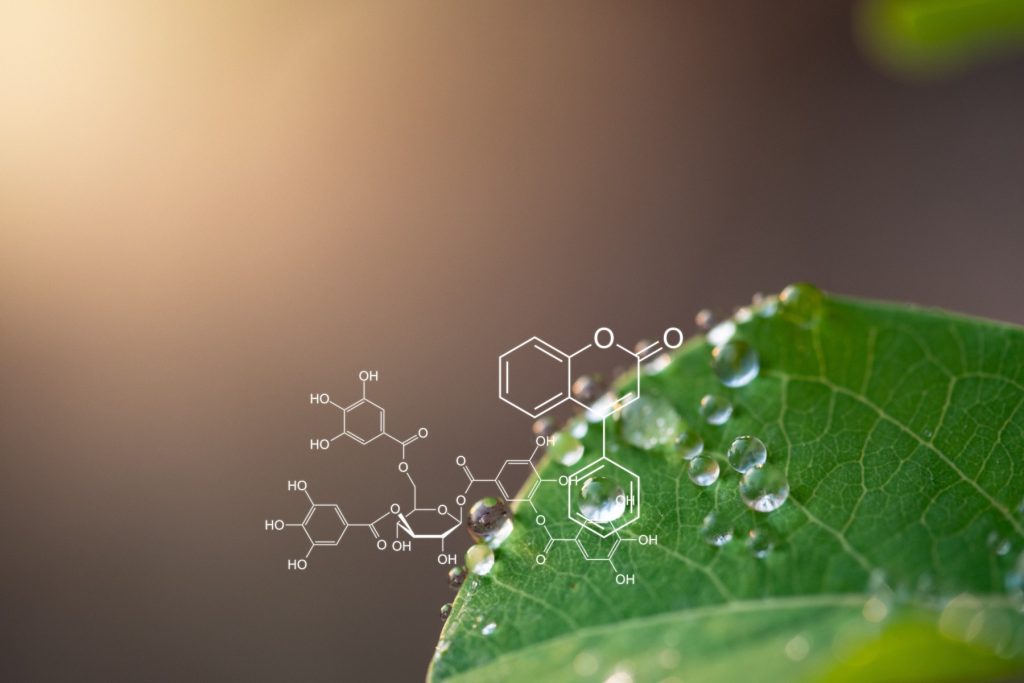 Plant Molecular Diagnostic Lab (MDL)