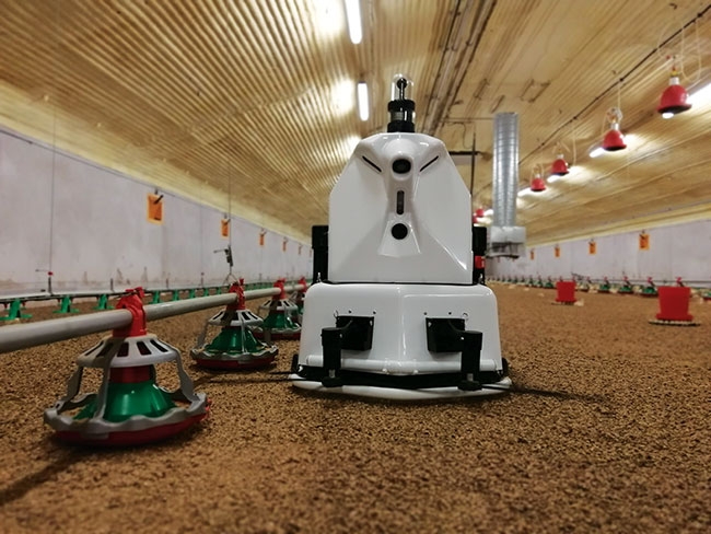 Robots for Precision Poultry and Egg Production