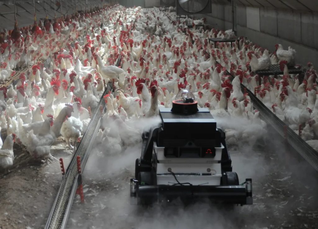 Robots For Precision Poultry And Egg Production Precision Poultry Farming