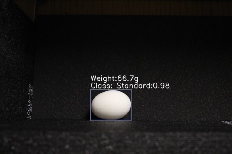 Image showcasing Deep Learning Systems for Automatic Egg Grading | Precision Poultry Farming