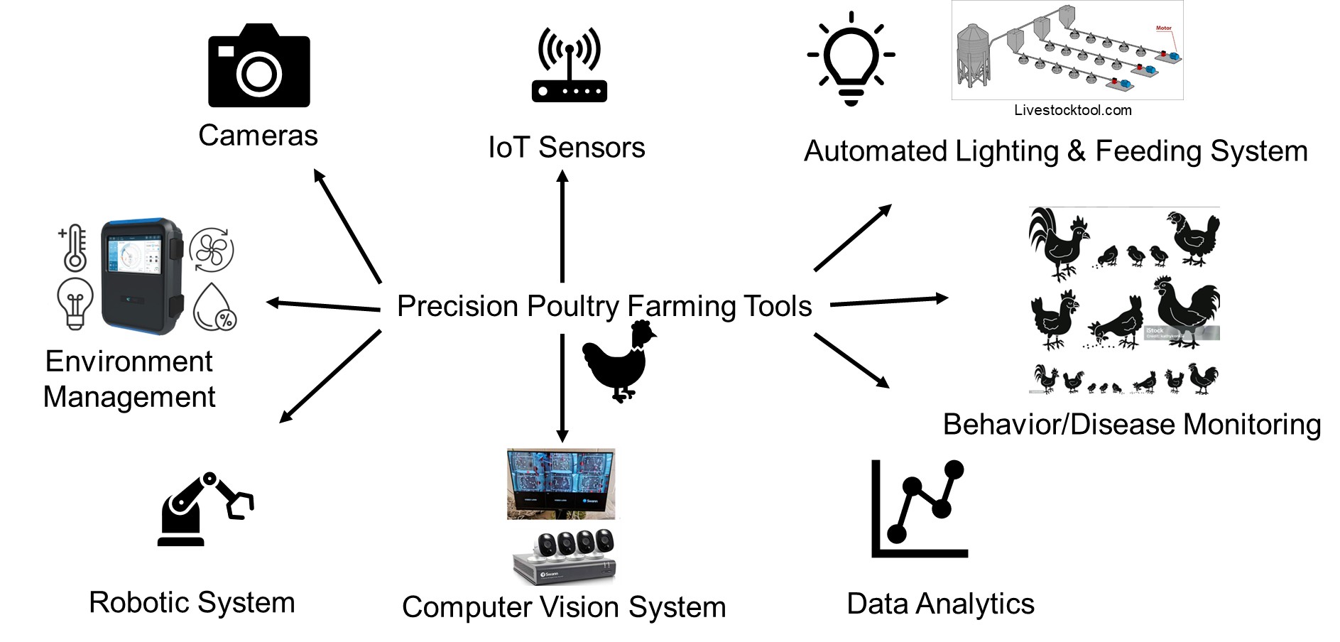AI for poultry