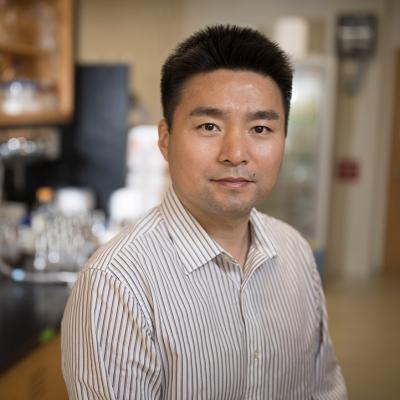 Dr. Yajun Yan