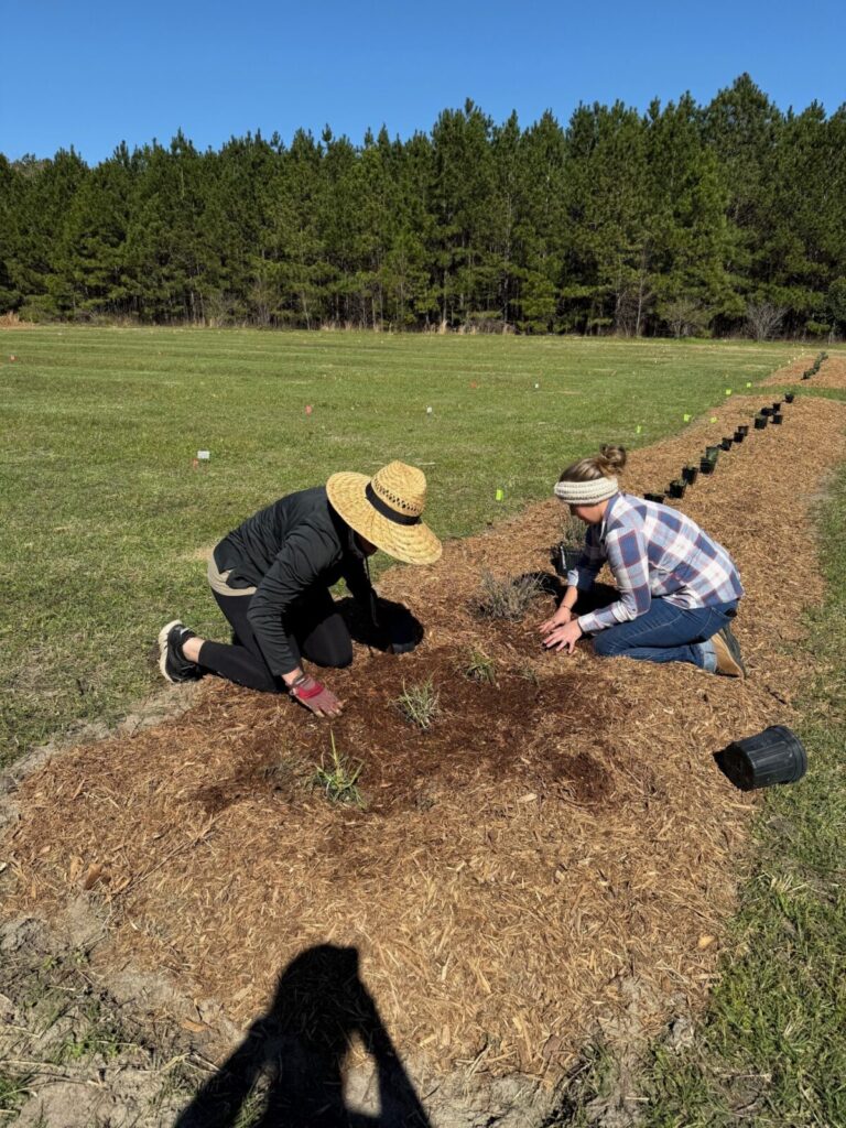 Two people planting at Gentian Creek Preserve