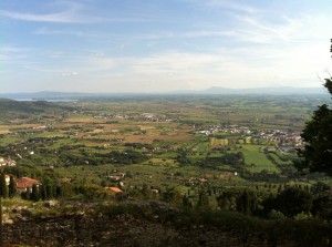 Cortona