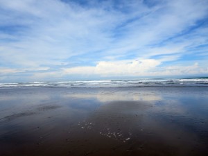 IMG_1152