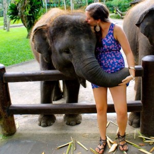 The 1st baby elephant born in captivity in Indonesia.