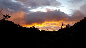 20151125_181404