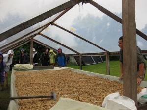IMG_3407