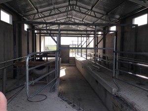 Construction is underway for the new milking parlor with the capability to milk 32 cows at a time. The current milking parlor can only milk 16 cows at a time. 