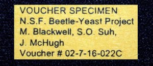 INFO FOR RESEARCHERS VOUCHER SPECIMENS label from Beetle-Yeast Project