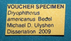 INFO FOR RESEARCHERS VOUCHER SPECIMENS label from dissertation of Mike Ulyshen